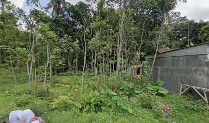 Kios Burung Mbah Mul