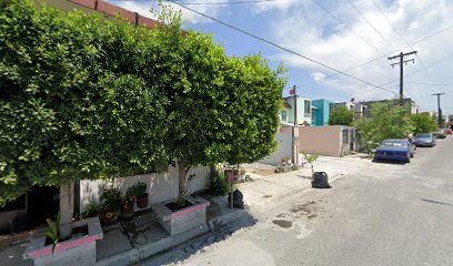 Mariachi Voces de Monterrey (Casa de Mudo)