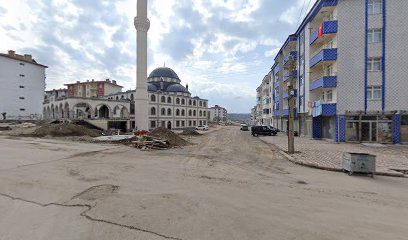 Bereket Gıda