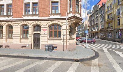 Stříhání psů - Salón Cvikov