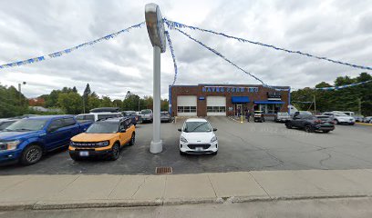 Hayes Ford Parts