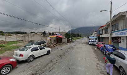 Autotransportes Puebla Amozoc Tepezala.SA DE SV