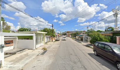 Viveros Yucatan Enrique Chi
