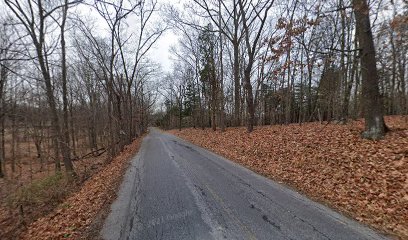 Frelinghuysen Forest Preserve