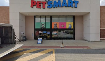 PetSmart Dog Training