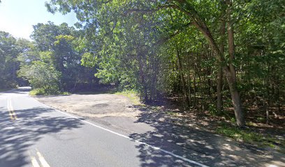 Wilmington Town Forest Trailhead Parking