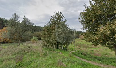 Parque de Campismo de Quintandona