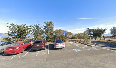 Public shore parking