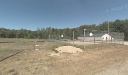 Shingleton Township Park-basketball court