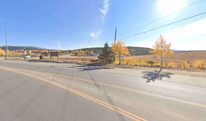 Leadville Sign