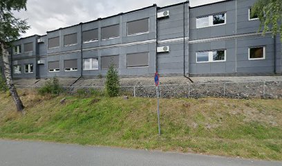 Aronsløkka skole