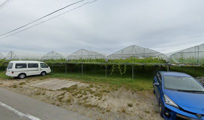 聖籠町 観光ぶどう園 吉田誠樹園(ヨシダセイジュエン)