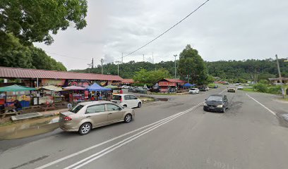 Monstera station