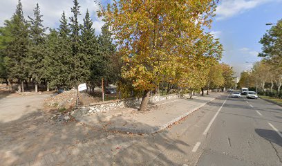 Namık Kemal Parkı