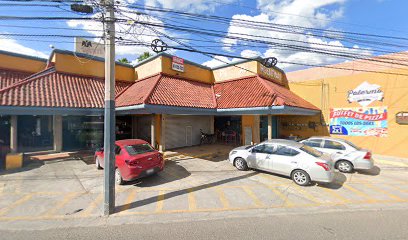 Tienda de Accesorios Para Mascotas El Pequeño Canito