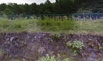 八幡浄水場