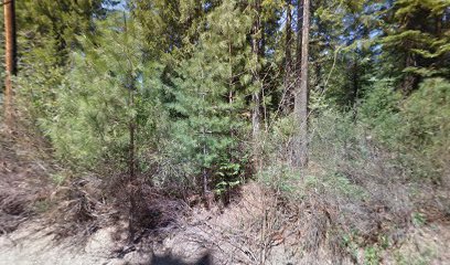 Strawberry Campground Plumas National Forest