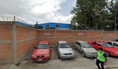 Tenneco Automotive Pistones Puebla