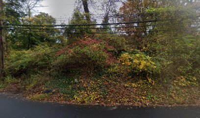 Green Cemetery