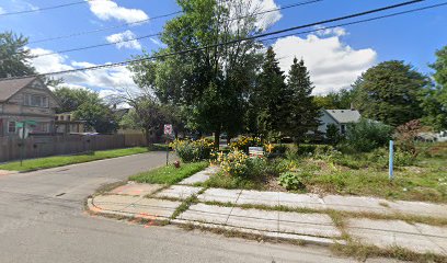 Brandon Scotten Community Garden