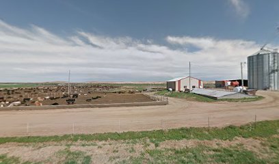 Smoky Hill Feedlot