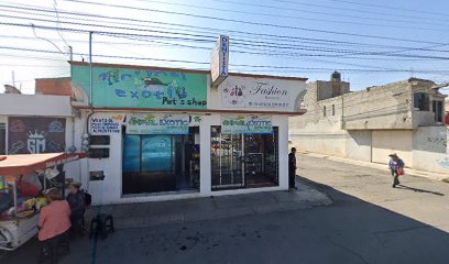 Tacos Los Pericos