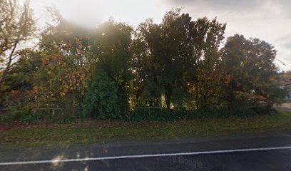 Old Frasertown Cemetery