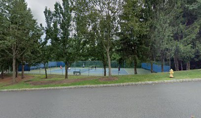 Lower Tennis Court