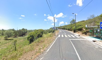 Estrada Nacional 247-Vale Cavalos