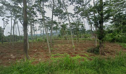 Makam Wangkong