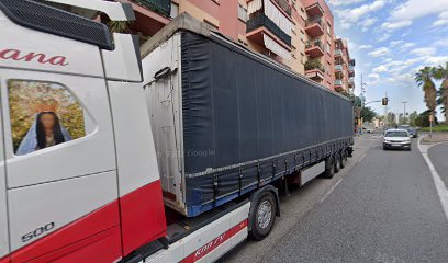 Perro Pomeranio - Servicios para mascota en Tarragona