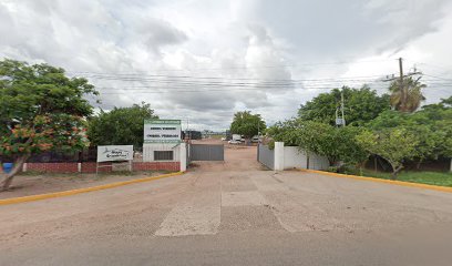 Quimica Mexicana