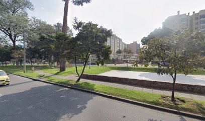 Pista de Patinaje - Avenida del Parque