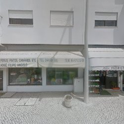 Loja de rações animais Rações Veríssimo, S. A. Vieira de Leiria