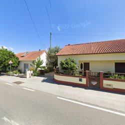 Loja de rações animais José F. Almeida - Purina Portugal Rio de Couros