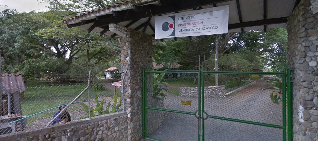 Centro De Investigacion Caucaseco
