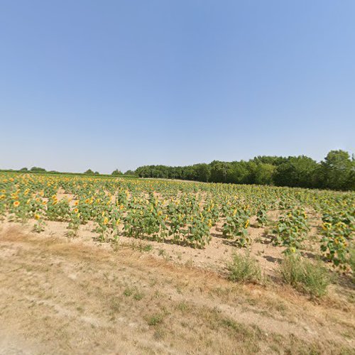 Siège social SCI 4AS Asnières-sur-Nouère