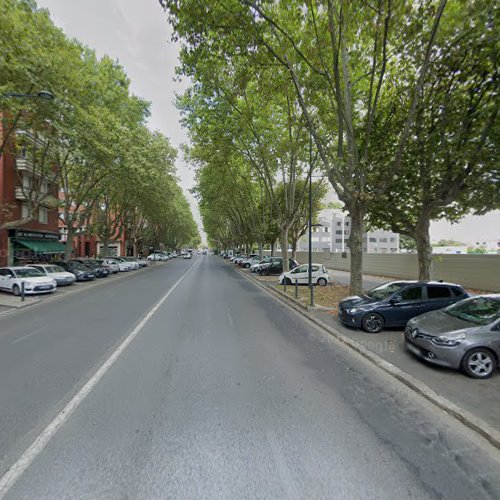 Banlieues Sans Frontière En Action à Maisons-Alfort