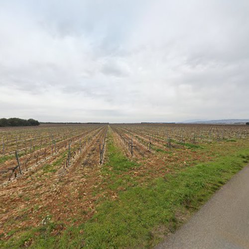 Domaine de la Manarine, Gilles Gasq à Travaillan