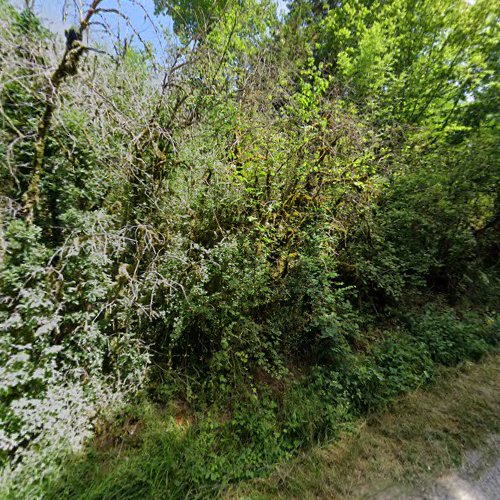 societe de tir plombieroise à Plombières-lès-Dijon