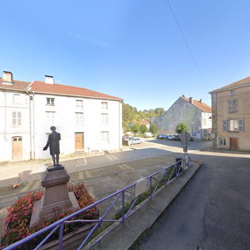 Ass Promotion Broderie de la Voge à Fontenoy-le-Château