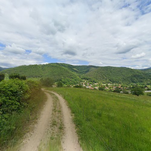 Hajus à Sainte-Croix-aux-Mines