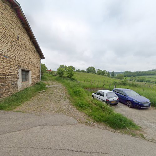 Ribeiro Daniel à Saint-Martin-en-Haut