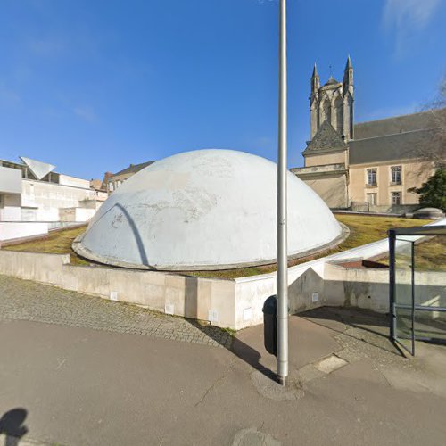 Amis des Musées de Poitiers à Poitiers