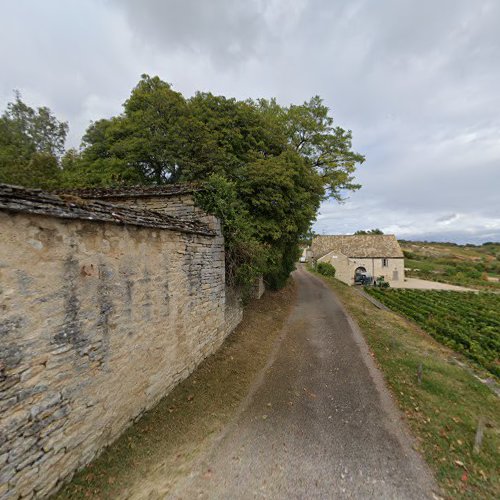 attractions Jolie vue sur les vignes Saint-Romain