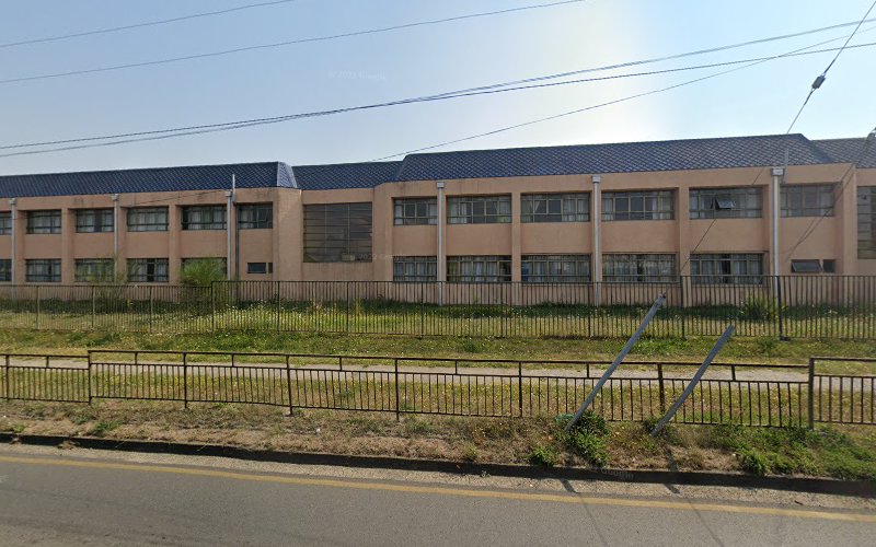 Liceo Las Araucarias (Media)
