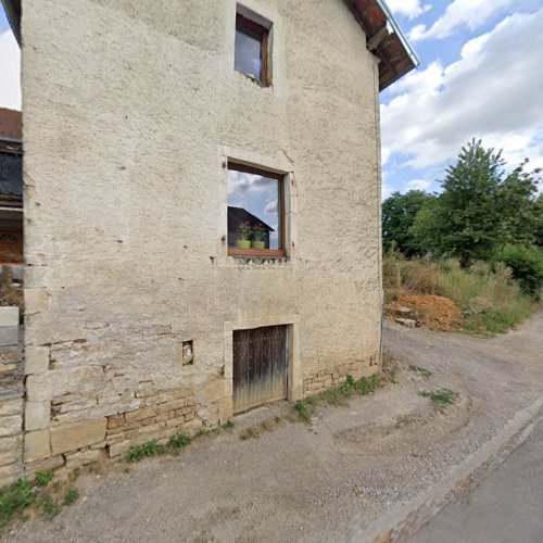 Le domaine des chats à Dampierre-lès-Conflans