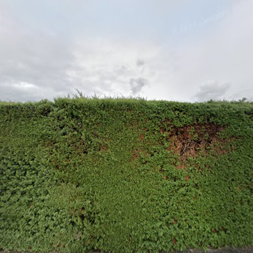 Cimetière de la roche de glun à La Roche-de-Glun