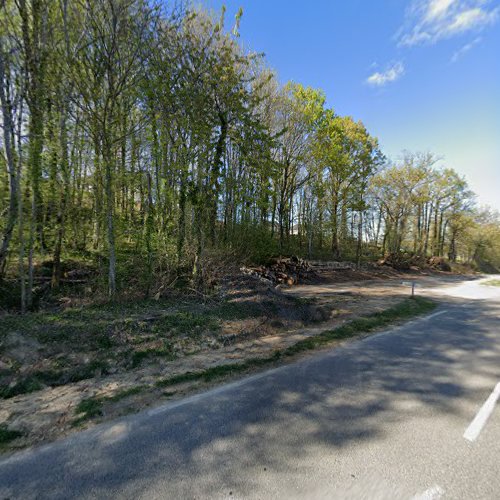 Siège social Au Coeur De L'arbre Sainte-Féréole