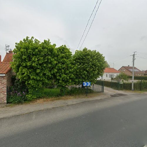 Le rossignol à Nielles-lès-Ardres